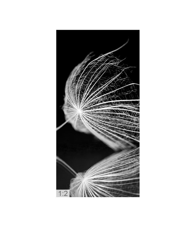 Acoustic picture "Macro photo art 1" - Design and function combined