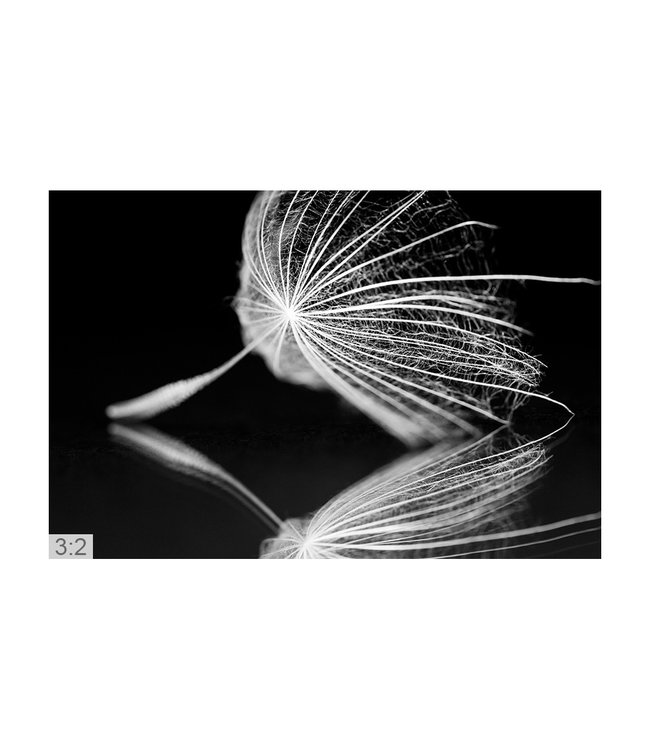 Akustikbild "Makro Fotokunst 1" - Design & Funktion vereint!