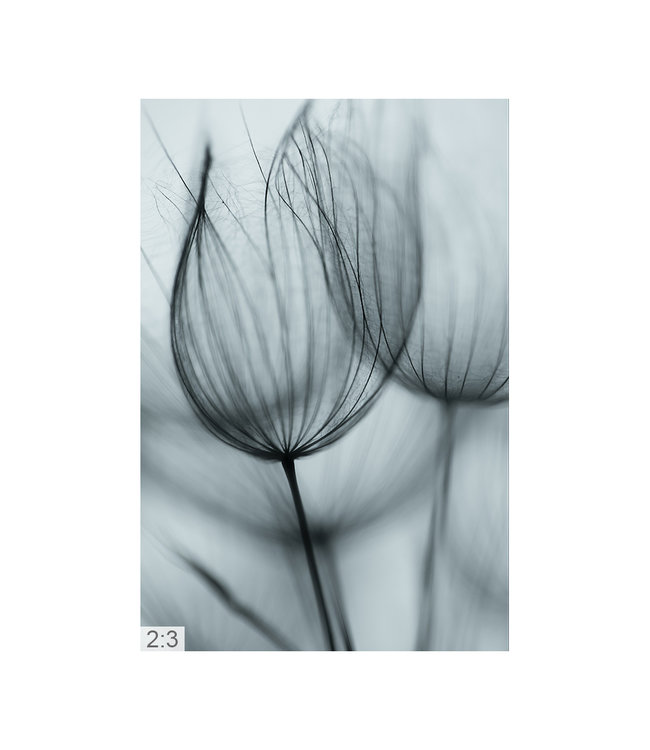 Akustikbild Fotokunst2" – Attraktive Lösung zur Geräuschminderung!