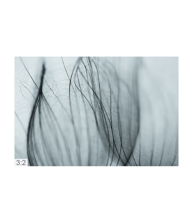 Akustisk bilde "Makro Fotokunst 2" - Attraktiv løsning for støyreduksjon!