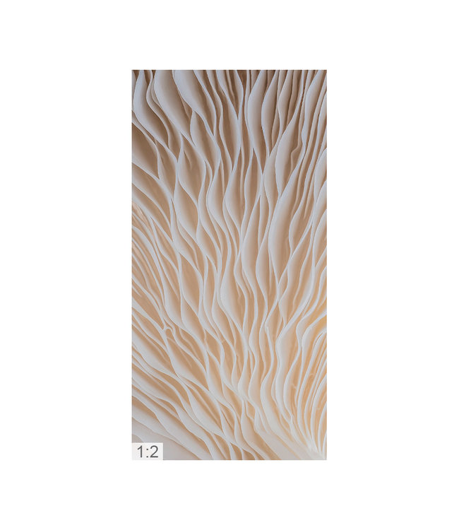 Acoustic picture "Macro 1" - attractive solution for reducing reverberation!