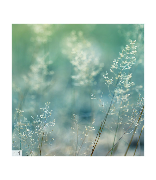 Acoustic picture "Macro grasses" - A beautiful form of perfect noise reduction!