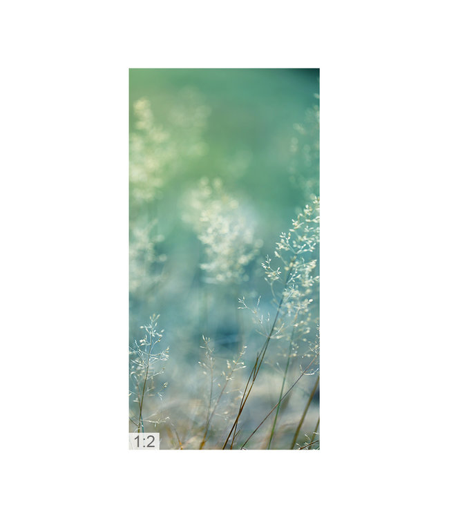 Acoustic picture "Macro grasses" - A beautiful form of perfect noise reduction!