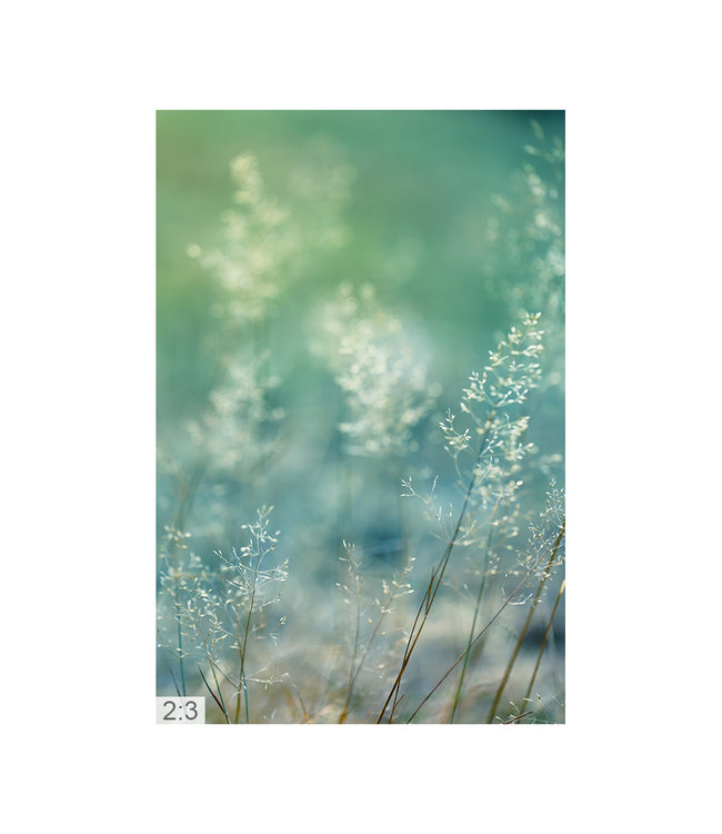 Acoustic picture "Macro grasses" - A beautiful form of perfect noise reduction!