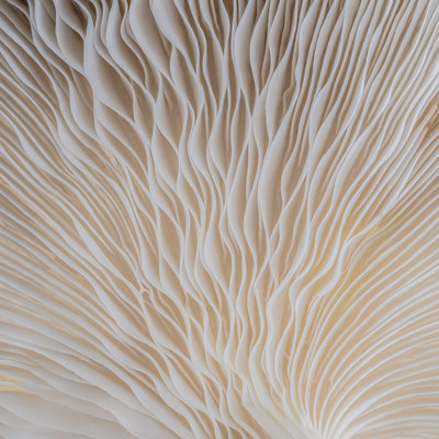 Structures & abstracts