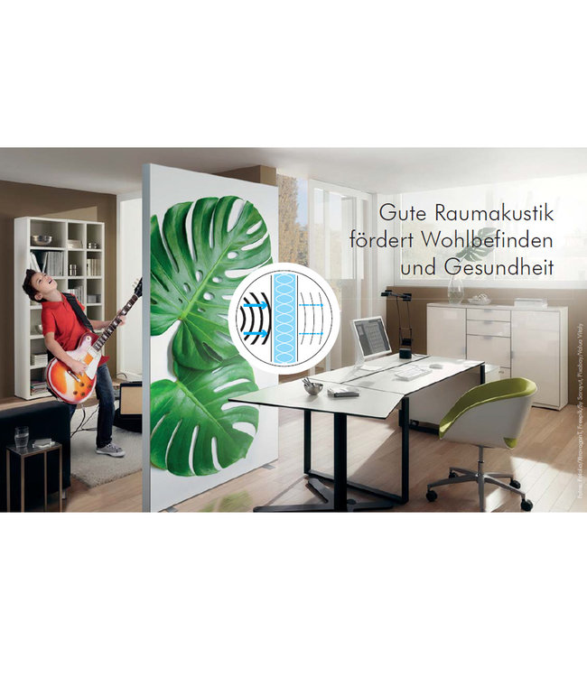 Acoustic picture "sattes rosa 500 ec"  - in an elegant aluminum frame