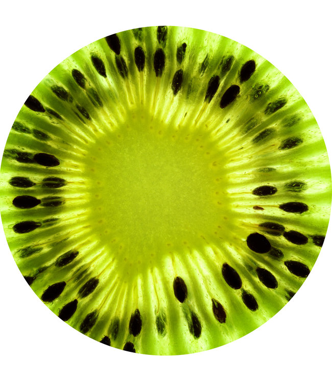 Round acoustic picture "Kiwi" - in an elegant aluminum frame