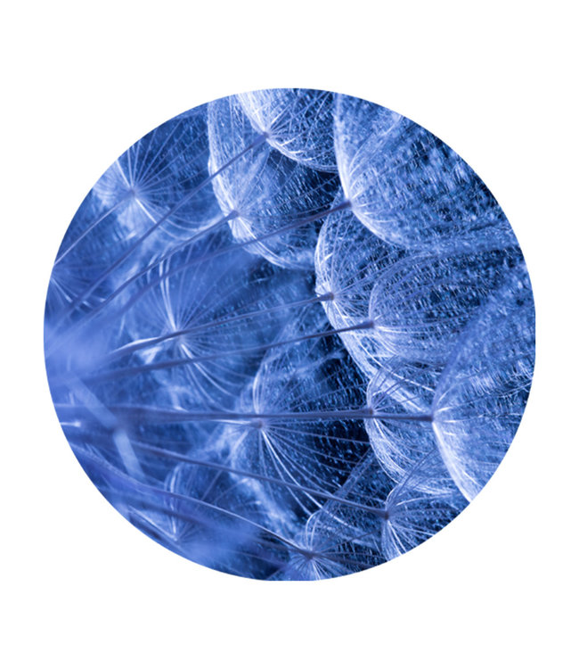 Rundes  Akustikbild "Macro Blue" in einem eleganten Aluminiumrahmen