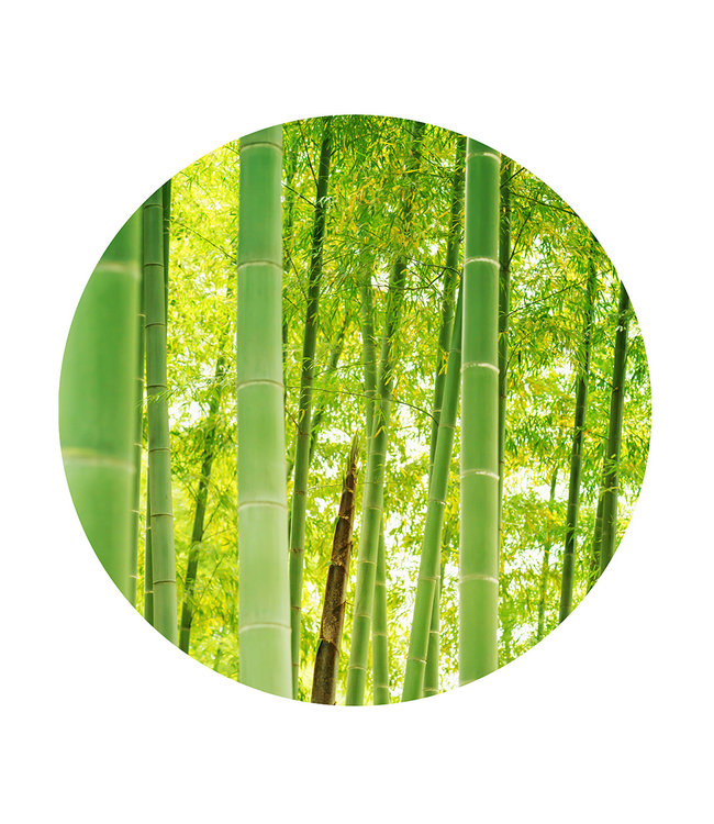 Round acoustic picture "Bamboo" - in an elegant aluminum frame