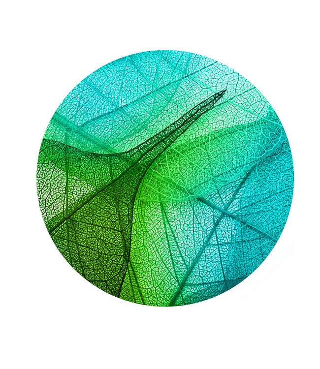 Round acoustic picture "Leaves Texture" - in an elegant aluminum frame