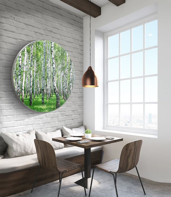 Round acoustic picture "Birkenwald"- in an elegant aluminum frame