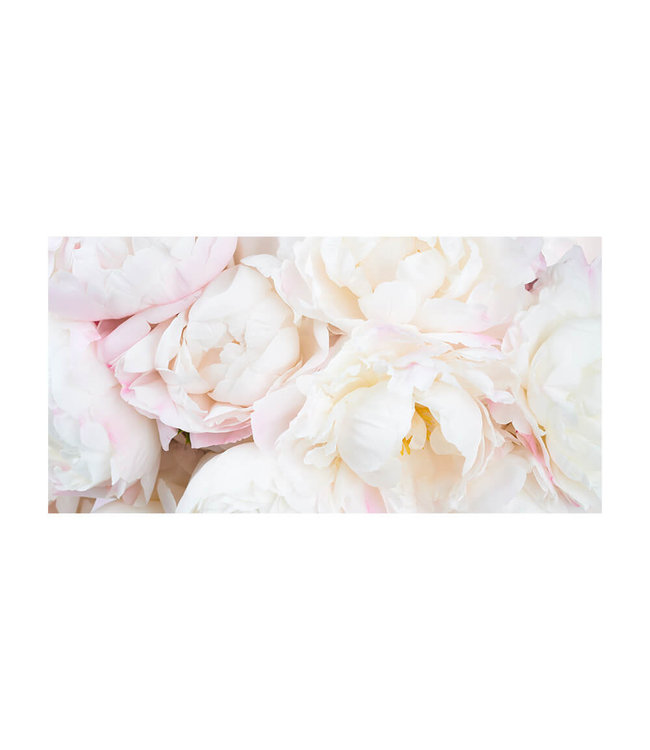 Acoustic picture "Pfingstrosen Weiß"  - in an elegant aluminum frame