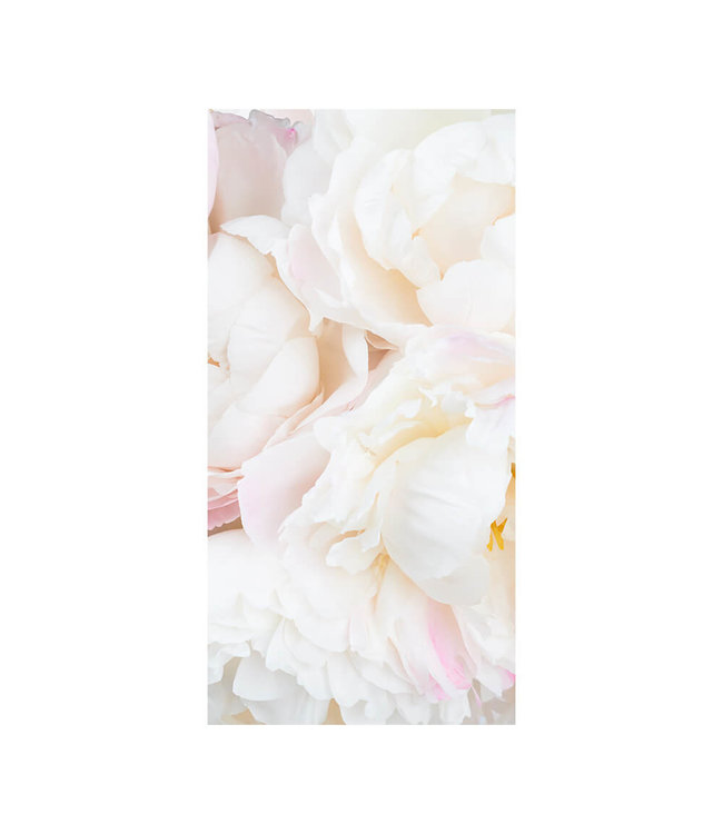 Acoustic picture "Pfingstrosen Weiß"  - in an elegant aluminum frame