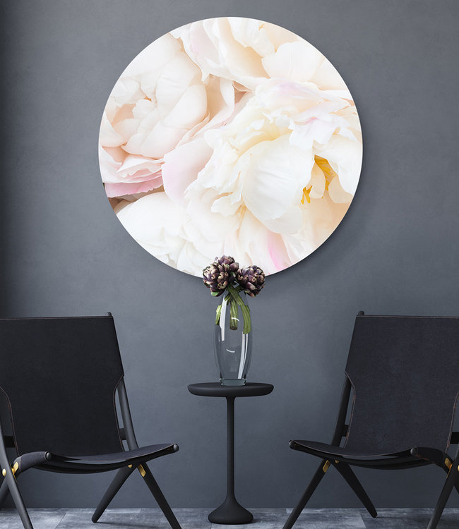 Rundt akustisk bilde "Pfingstrosen weiß"- i en elegant aluminiumsramme