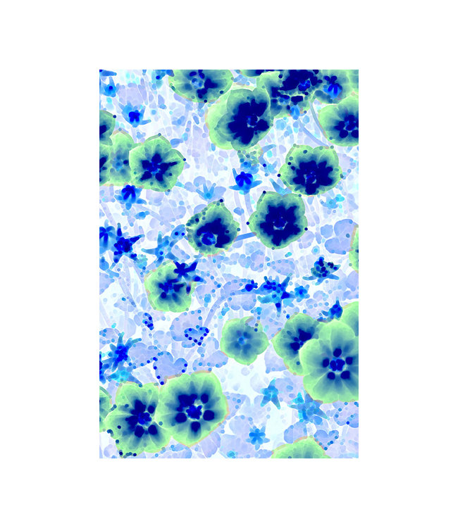 Akustisk bilde "Asiatische Lilie" - i en elegant aluminiumsramme