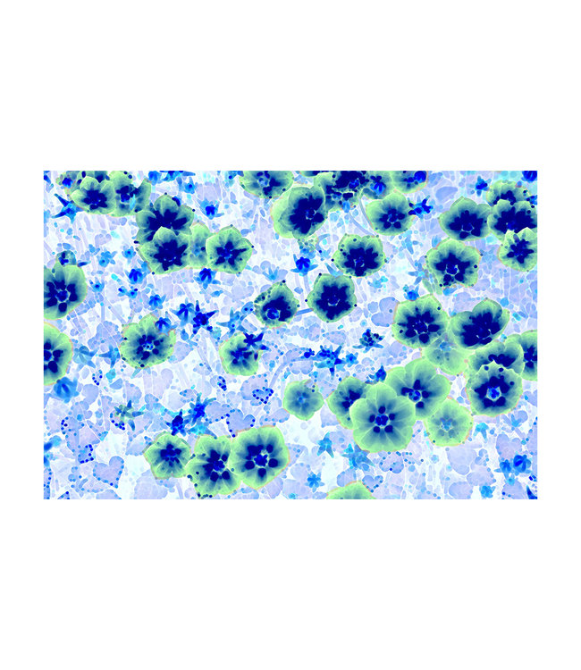 Acoustic picture "Asiatische Lilie" - in an elegant aluminum frame -