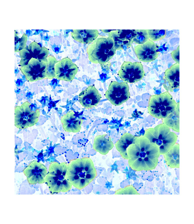 Acoustic picture "Asiatische Lilie" - in an elegant aluminum frame -