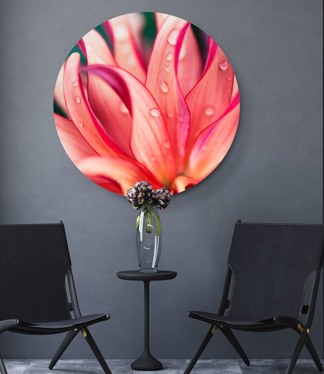 Rundt akustisk bilde "Pink Flower"- i en elegant aluminiumsramme