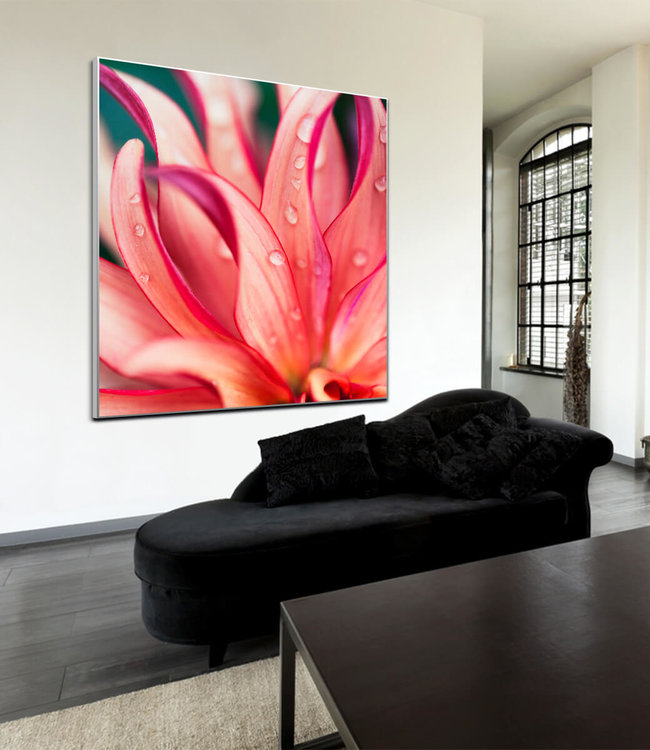 Acoustic picture "Pink Flower"  - in an elegant aluminum frame