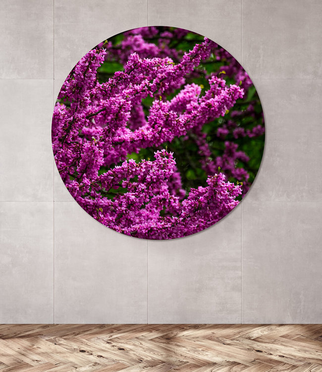 Round acoustic picture "Lila Blüten" - in an elegant aluminum frame