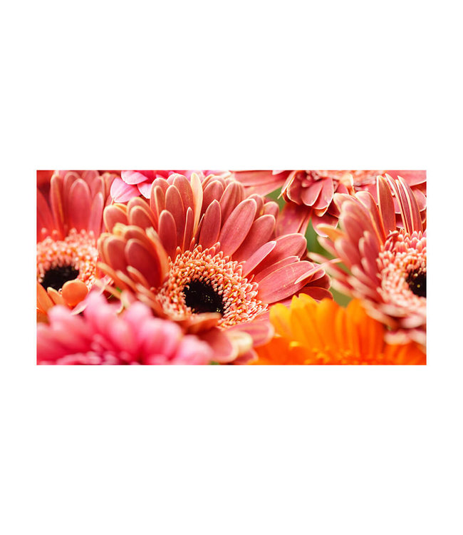 Akustisk bilde  "Keimblumen"- i en elegant aluminiumsramme