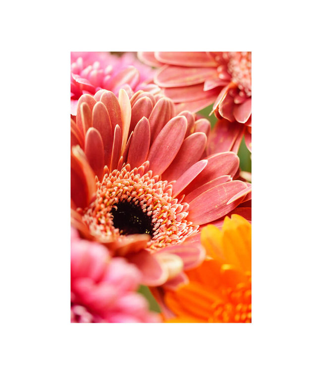 Acoustic picture "Keimblumen"  - in an elegant aluminum frame