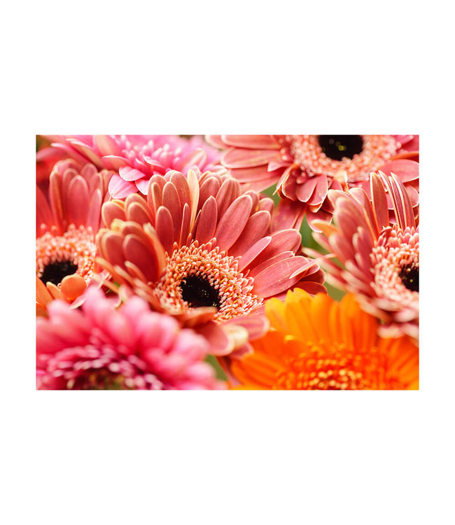 Acoustic picture "Keimblumen"  - in an elegant aluminum frame