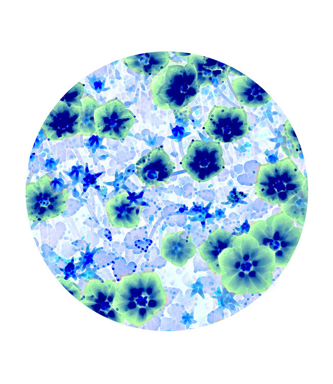 Rundt akustisk bilde"Asiatische Lilie"- i en elegant aluminiumsramme