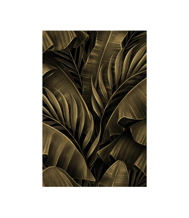 Akustisk bilde "Golden banana leaves"- i en elegant aluminiumsramme