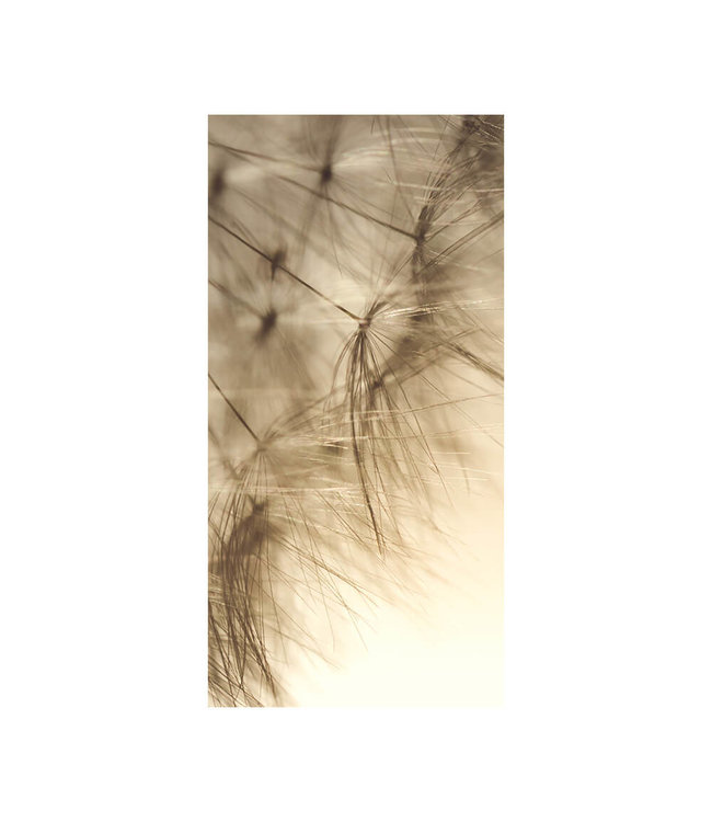 Akustikbild “Pusteblume“ – in einem eleganten Aluminiumrahmen