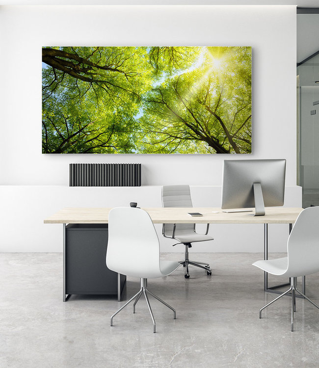 Acoustic picture "Forest"- in an elegant aluminum frame