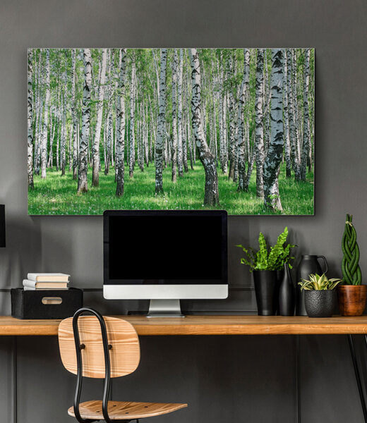 Akustikbild  "Birkenwald"