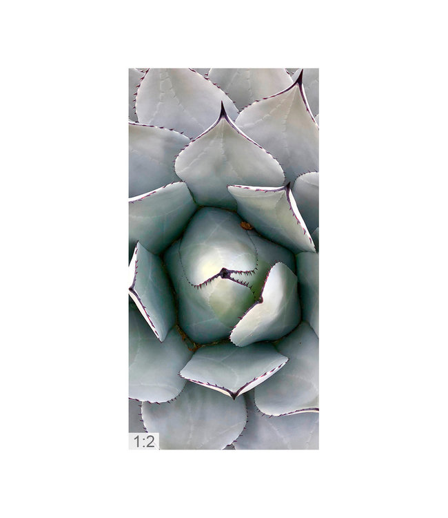 Acoustic picture  "Macro Nature" - in an elegant aluminum frame