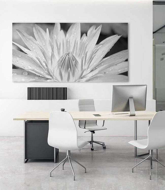 Akustisk bilde  "Lotus" - i en elegant aluminiumsramme