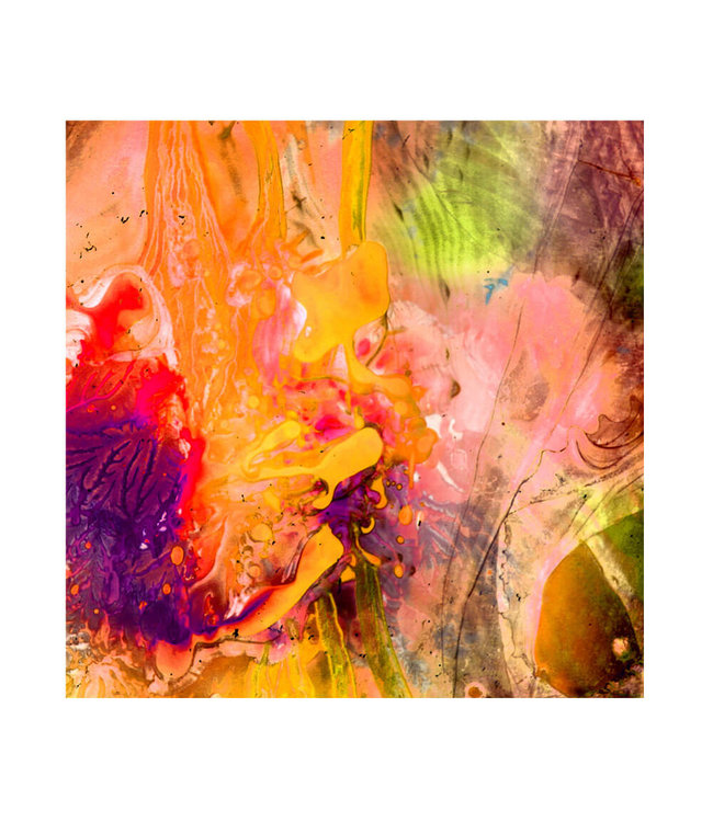 Akustisk bilde "Joyous life" - i en elegant aluminiumsramme