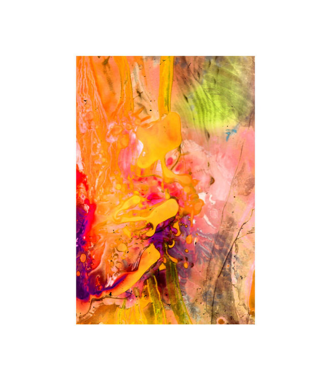 Acoustic picture "Joyous life"- in an elegant aluminum frame