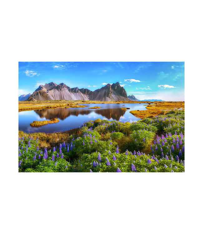 Acoustic picture "Stokksnes  cape"- in an elegant aluminum frame