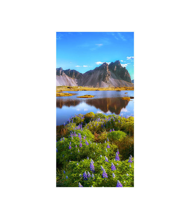 Acoustic picture "Stokksnes  cape"- in an elegant aluminum frame