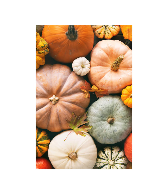 Akustisk bilde "Pumpkins" - i en elegant aluminiumsramme