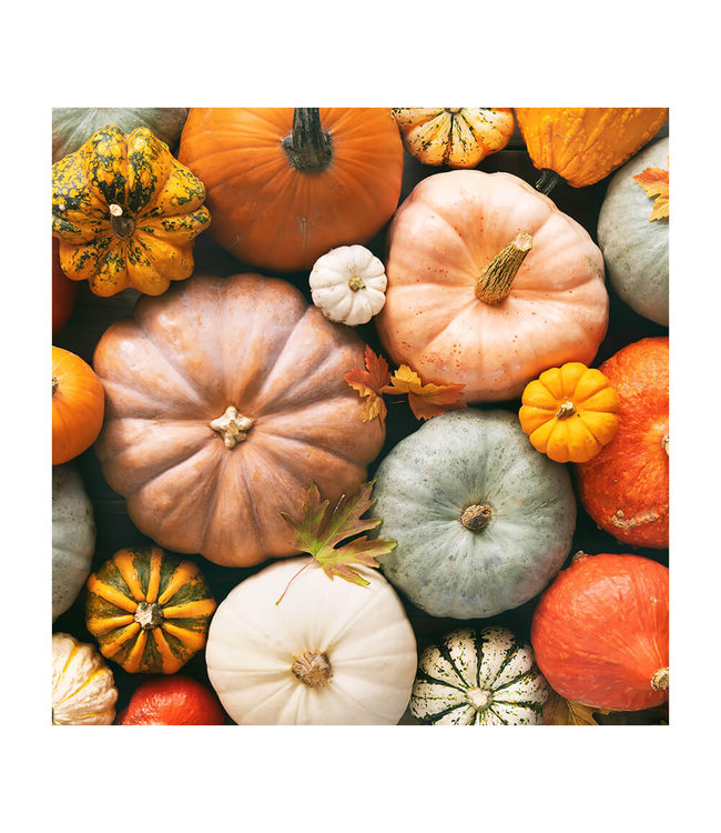 Akustisk bilde "Pumpkins" - i en elegant aluminiumsramme