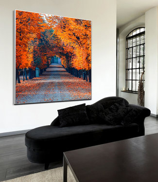 Akustisk bilde "Colorful autumn alley"