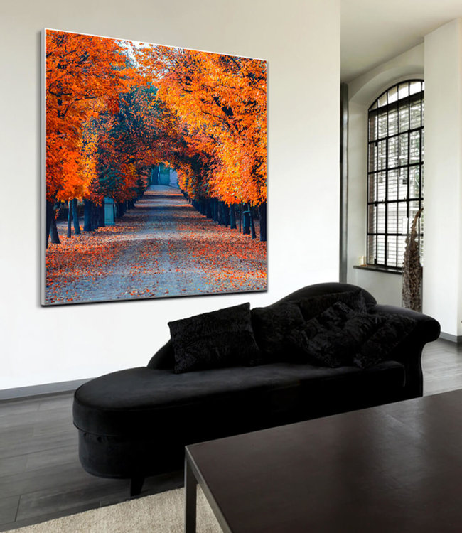 Akustisk bilde "Colorful autumn alley" - i en elegant aluminiumsramme