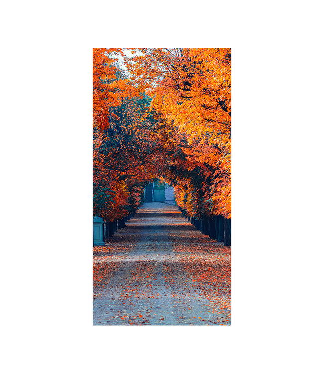 Akustikbild "Colorful autumn alley"- in einem eleganten Aluminiumrahmen