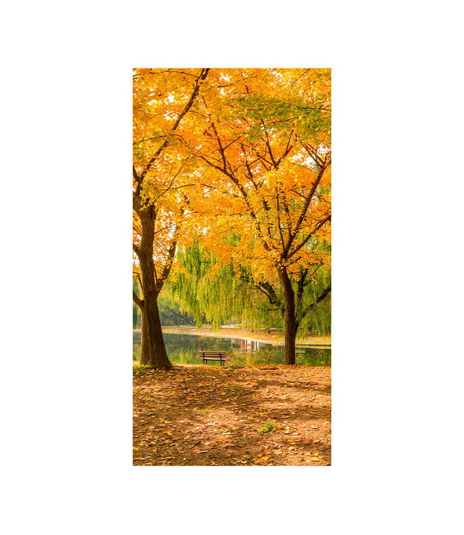 Acoustic picture "Autumn ginkgo trees" - in an elegant aluminum frame