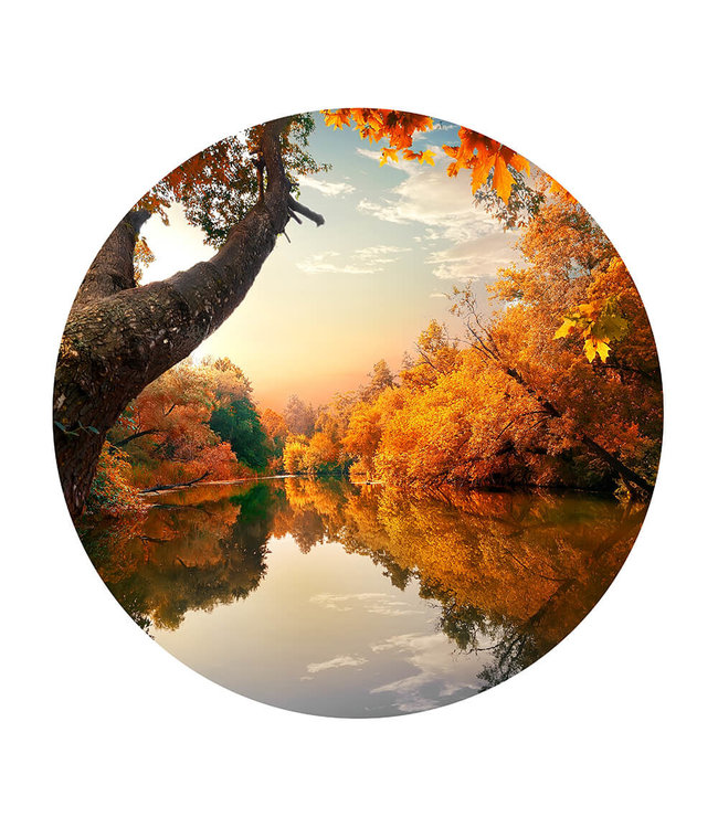 Rundes  Akustikbild "Orange Autumn"-in einem eleganten Aluminiumrahmen