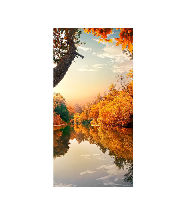 Acoustic picture "Orange Autumn" - in an elegant aluminum frame