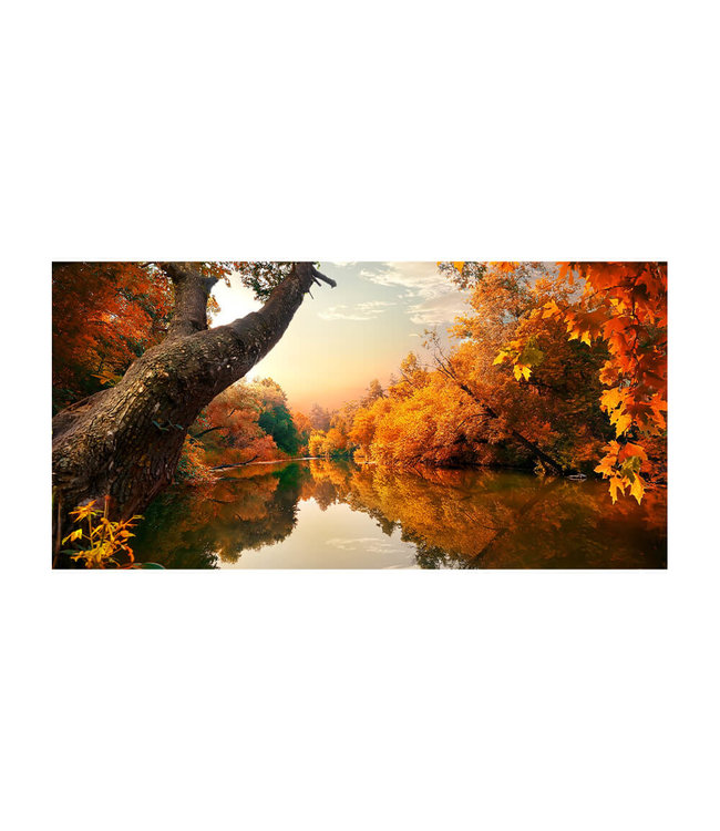 Acoustic picture "Orange Autumn" - in an elegant aluminum frame