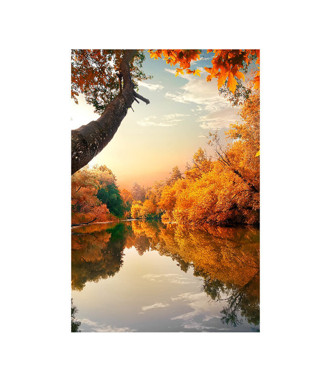 Akustikbild "Orange Autumn"- in einem eleganten Aluminiumrahmen