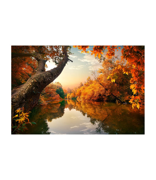 Acoustic picture "Orange Autumn" - in an elegant aluminum frame
