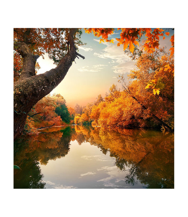 Akustikbild "Orange Autumn"- in einem eleganten Aluminiumrahmen